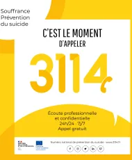 logo 3114